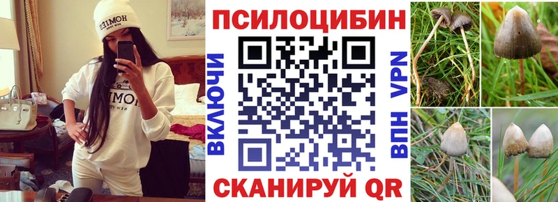 Псилоцибиновые грибы Psilocybe Бутурлиновка